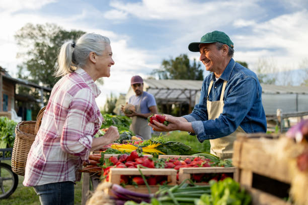 istockphoto-1941134987-612×612