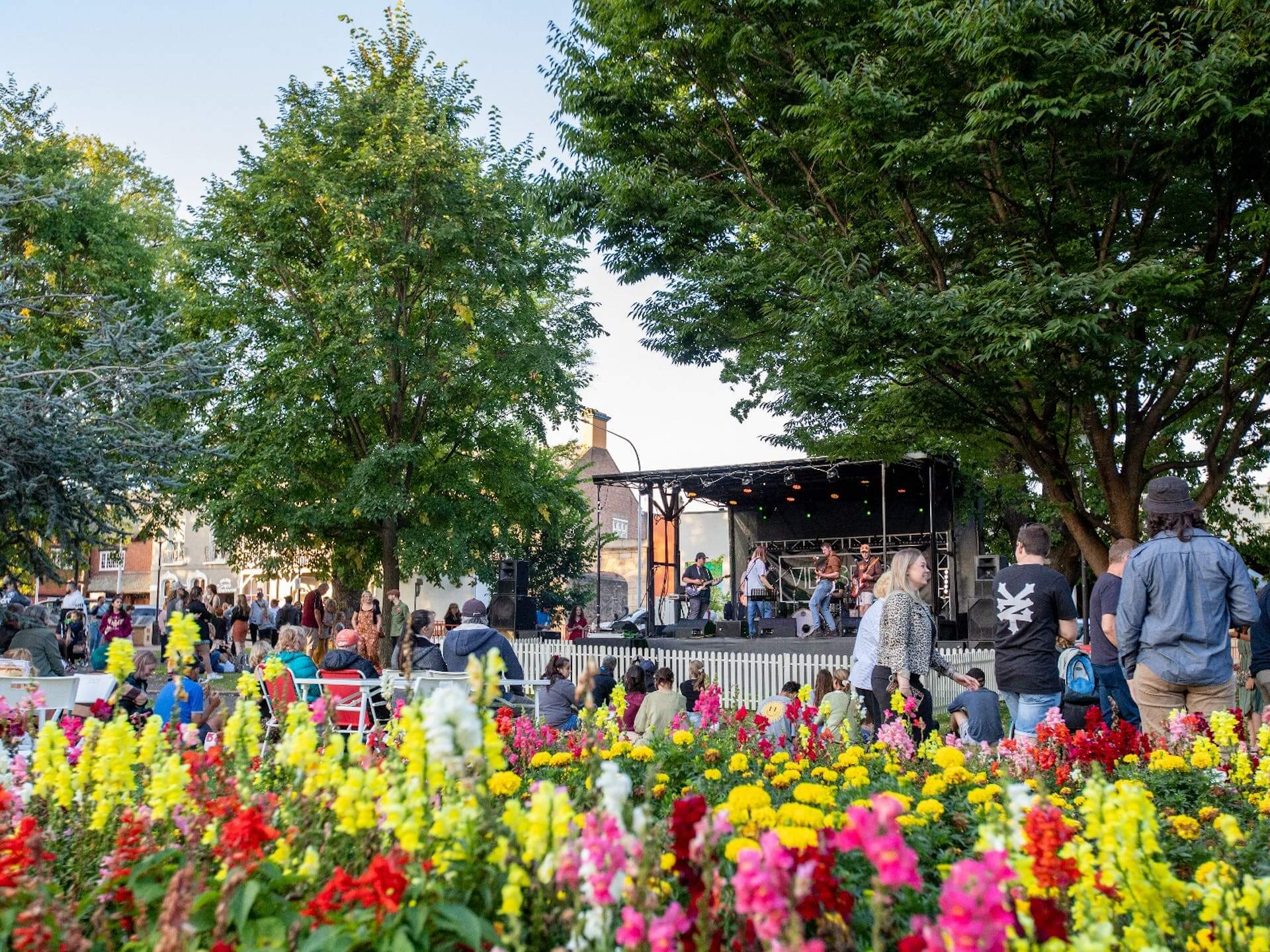 1c50ecfd364016e79ff53c2fa2236729