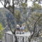 Unedited Bungonia Gorge Photos C – Lauren McLaughlin Photography