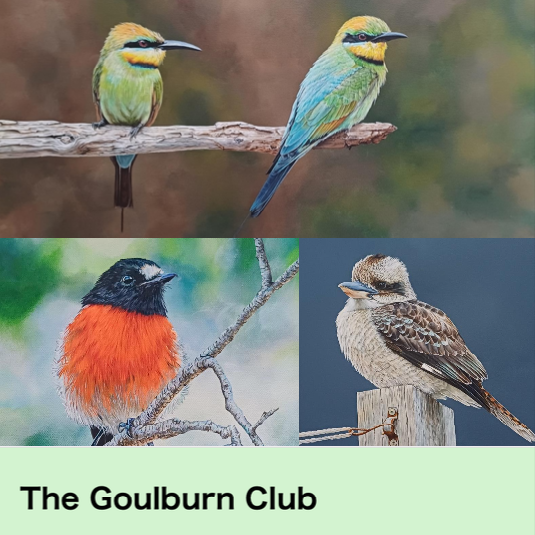 Elise Bennett Goulburn AUS image
