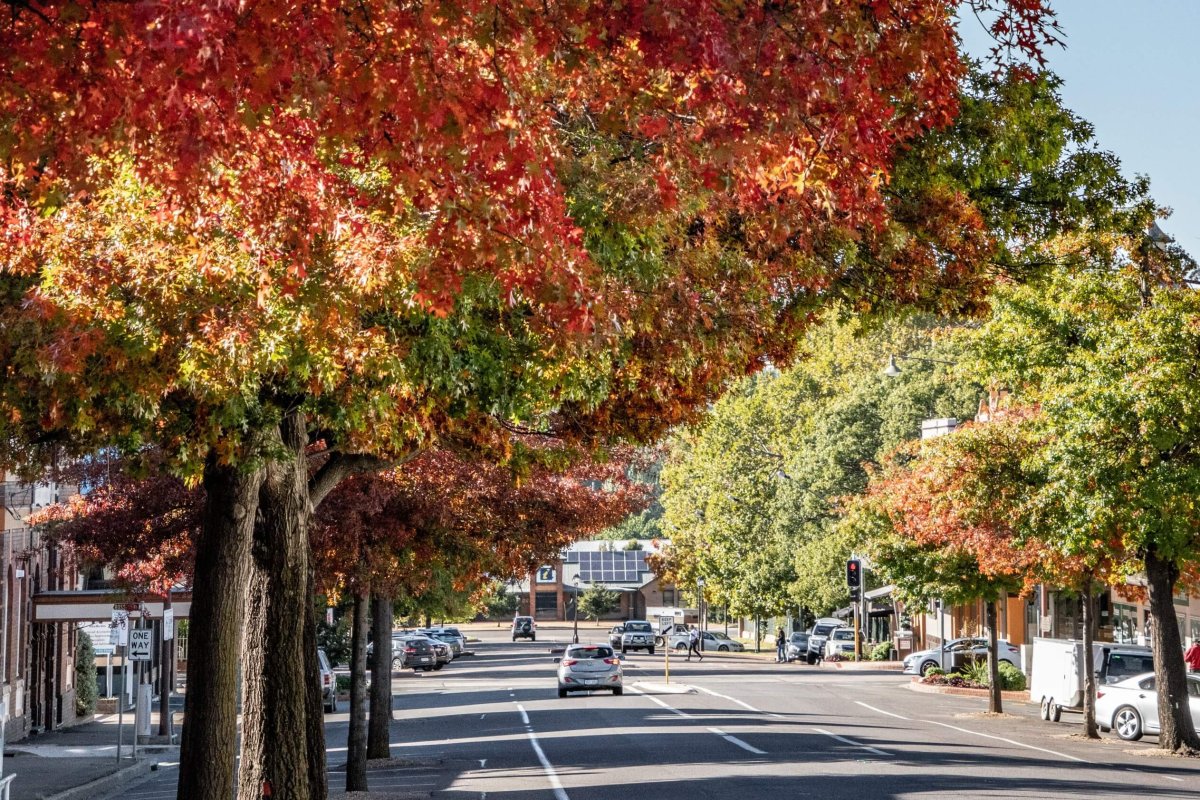 ECM_4806845_v1_Street Scape Sum of Infinity Autumn Shoot DSC01560